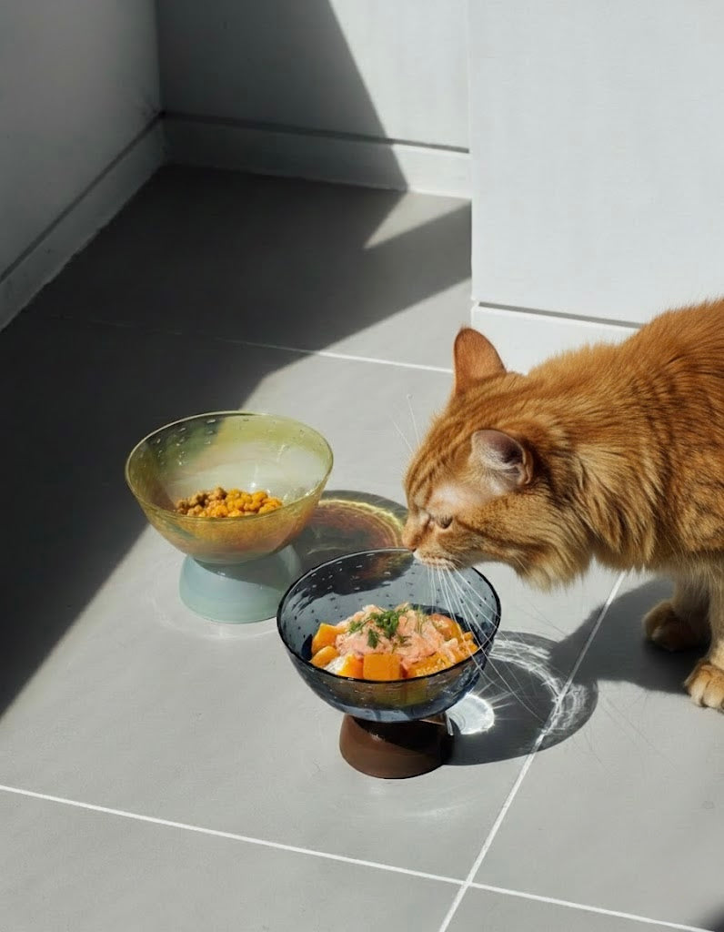 Cat Food Recipe: Organic Wild Salmon & Steamed Pumpkin