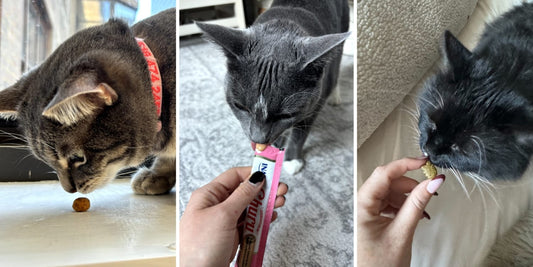 Top Cat Treat Sticks & Tubes 2026 - What’s Safe, What Works, and What to Avoid