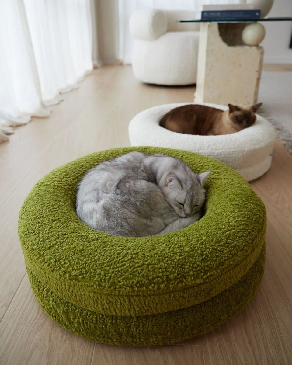 The Feline Sanctuary
