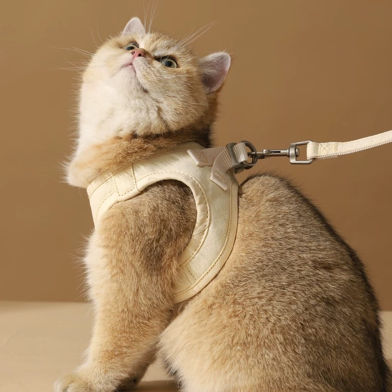 Cat Harnesses & Collars
