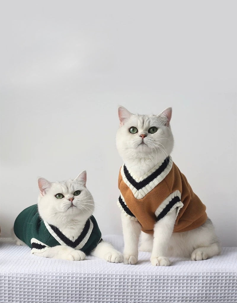 Cat Clothing & Accessories