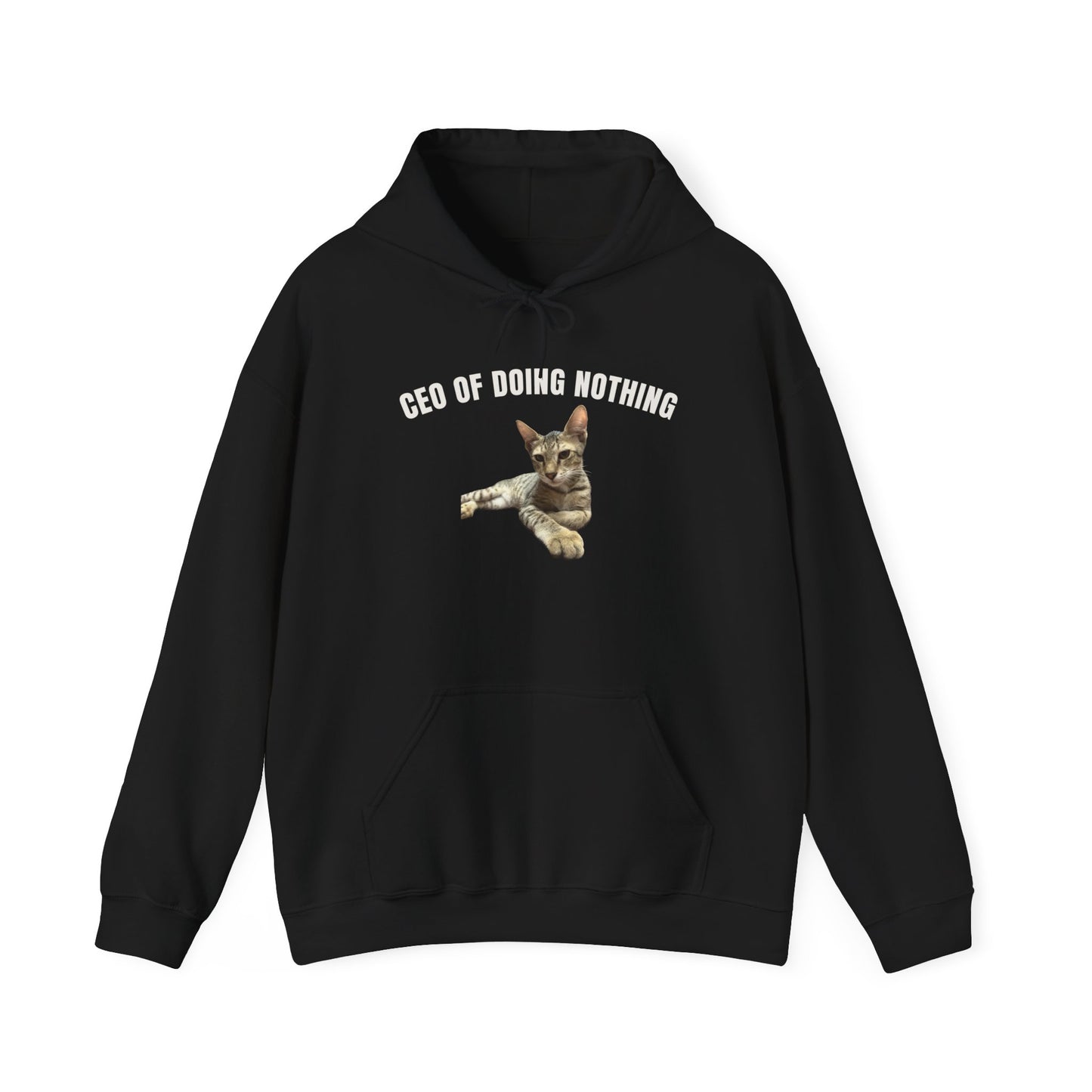 CEO of Doing Nothing The Ultimate Judgy Cat Hoodie