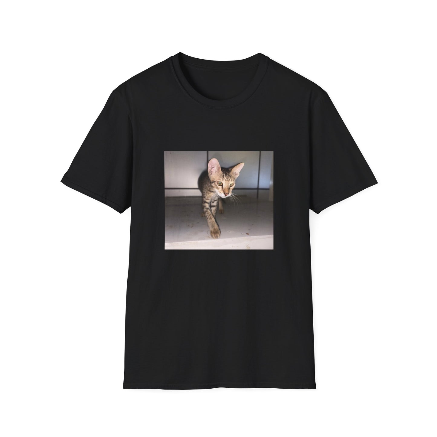 Tabby Cat Graphic T-shirt
