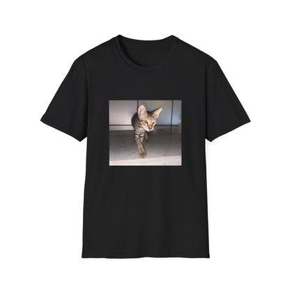 Tabby Cat Graphic T-shirt